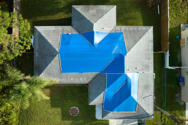 Best Roof Insulation Installation  in Barrackville, WV
