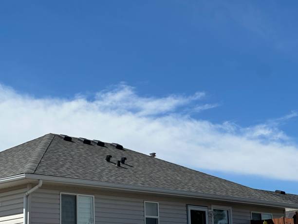Best Wood Shake Roofing  in Barrackville, WV